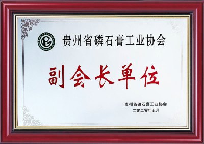 贵州省磷石膏工业协会副会长单位